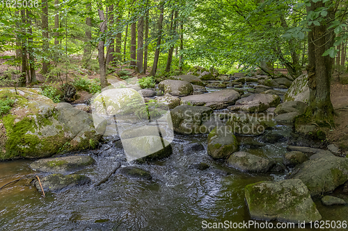 Image of nature reserve in the Bavarian Forest