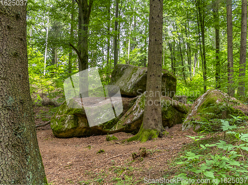 Image of nature reserve in the Bavarian Forest