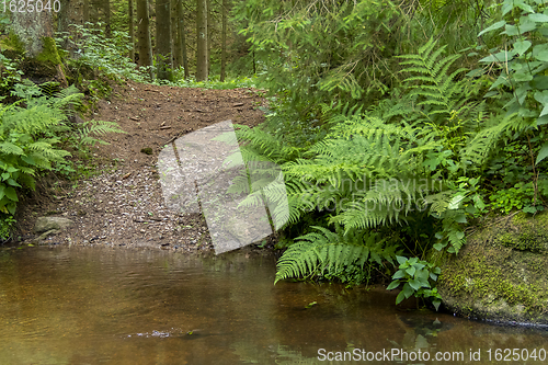 Image of nature reserve in the Bavarian Forest