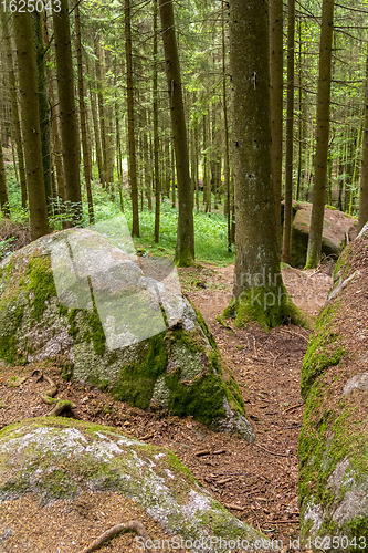 Image of nature reserve in the Bavarian Forest