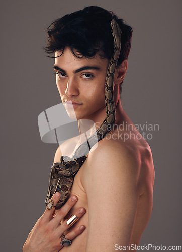 Image of Portrait, man and model with snake in studio isolated on a gray background. Beauty, art and fashion of young male model posing with python, reptile or serpent for skincare, body care and cosmetics.