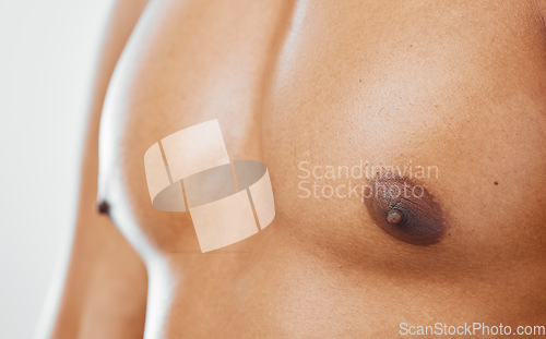 Image of Chest, human body and man in studio to show nipple, anatomy and muscle for health, wellness and fitness of a bodybuilder. Closeup of a model with motivation for exercise, sports training and workout