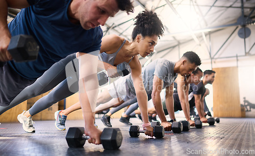 Image of Strong, fitness and gym people with dumbbell teamwork training or exercise community, accountability and group. Sports diversity friends on floor in pushup muscle workout, power and wellness together