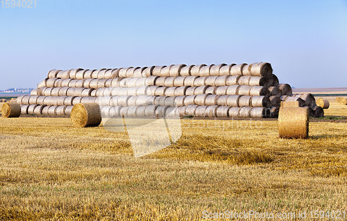 Image of agricultural field with straw stacks