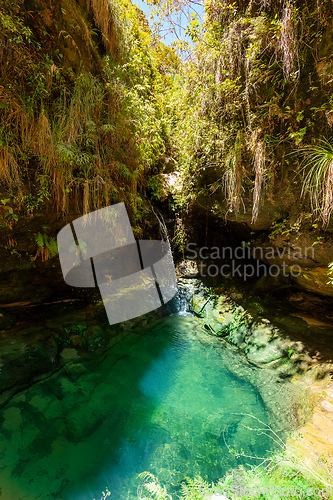 Image of Rain forest waterfall, Madagascar wilderness landscape