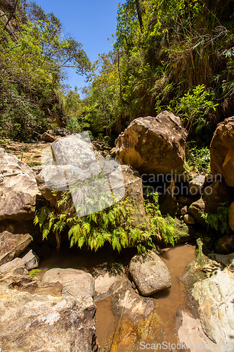 Image of Isalo National Park in the Ihorombe Region, Madagascar