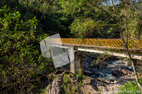 Image of Bridge in Ranomafana National Park, Madagascar wilderness landscape