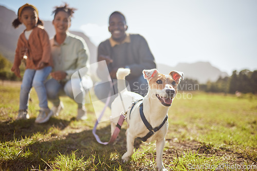Image of Black family, child or pet dog in nature park, environmental garden or sustainability grass land for Jack Russell Terrier walk. Man, black woman and child with animal canine in fun or relax activity