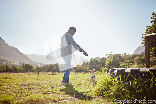 Image of Man training dog pets at park, garden and outdoors on a leash with sky background. Black man walking a jack russell terrier puppy animal and learning trick, command or play on grass field in nature