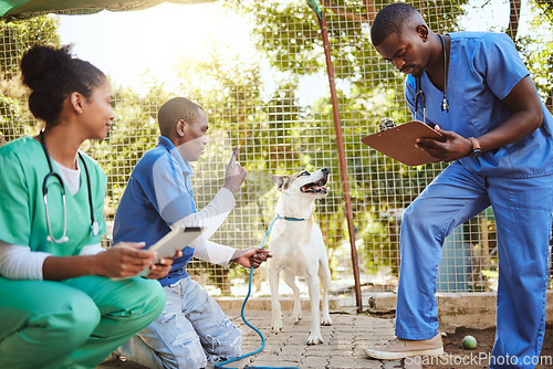 Image of Volunteer veterinary doctors, dog at animal shelter and medical checkup for puppy before adoption. Care, charity and vet doctor for animal healthcare, wellness and obedience training with clipboard.