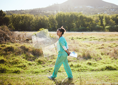 Image of Animal care, working and vet in field walking with clipboard doing research, analytics and inspection. Healthcare, veterinary and black woman medical worker doing work, examination and job in nature