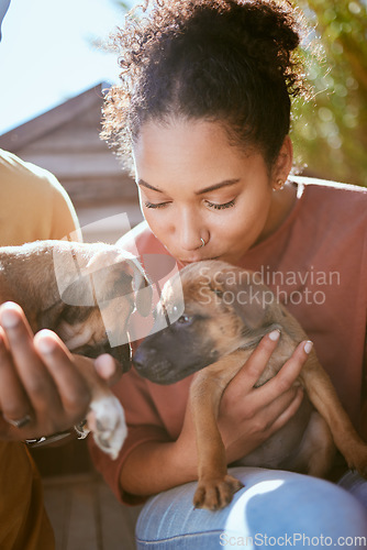 Image of Love, dog and animal shelter with a black woman kissing a puppy at a rescue pound for adoption or care. Pet, homeless and foster with a female volunteer adopting a canine companion to rehome