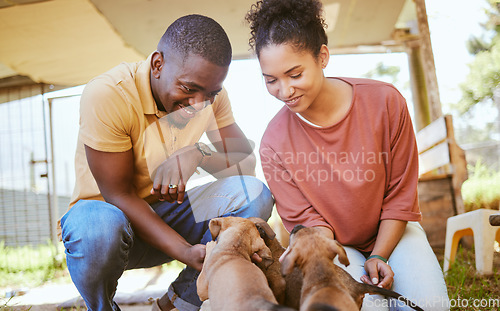 Image of Love, black couple and playing with dogs at animal shelter or kennel. Care, support and happy interracial man and woman bonding with foster puppies and pets while thinking about adoption together.