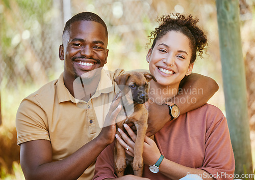 Image of Love, portrait and black couple with dog at animal shelter for adoption at kennel. Support, care or happy interracial couple, man and woman bonding with foster puppy or pet and enjoying time together