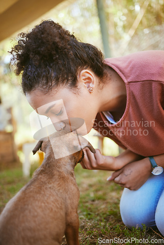 Image of Kiss, dog and adoption with a black woman at a rescue shelter looking for a foster animal to love or care for. Kissing, love and pet with a young female adopting a puppy from a shelter to rehome