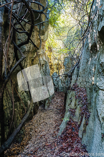 Image of Petit Tsingy de Bemaraha, amazing landscape, Madagascar wilderness landscape