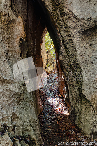 Image of Petit Tsingy de Bemaraha, amazing landscape, Madagascar wilderness landscape