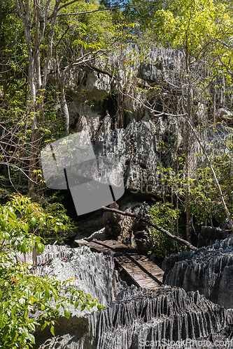 Image of Petit Tsingy de Bemaraha, amazing landscape, Madagascar wilderness landscape