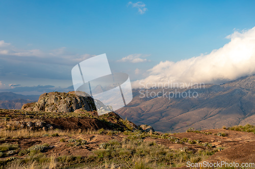 Image of Andringitra national park,mountain landscape, Madagascar wilderness landscape