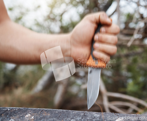 Image of Man, hand and knife in nature forest, sustainability woods and countryside environment for cutting and carving tree bark. Zoom, hiking and camping person with sharp blade, metal weapon or steel tools