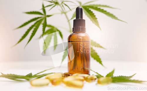 Image of Cannabis, marijuana and product with oil of cbd for alternative medicine, natural skincare or healthcare supplement. Beauty, luxury and wellness with legal pills and weed plant for anxiety and stress