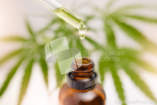 Image of Dropper, glass bottle and cbd oil for holistic healthcare, pain management or stress control in anxiety, depression or ptsd relief. Zoom, cannabis leaf or marijuana medicine product from weed extract