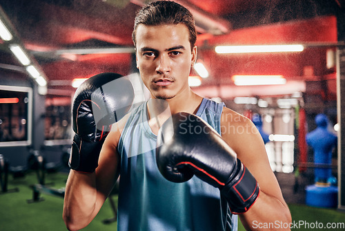 Image of Fitness, sports or motivation man boxer in gym studio with gloves for training, cardio workout or exercise. Focus, mma portrait or male athlete in boxing ring with goal vision, health or fight energy