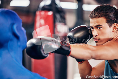 Image of Fitness, boxing and man at gym for exercise, training and workout with a dummy for fast, speed and agile punch for sports match or competition. Focus, face and boxing gloves on athlete boxer to fight