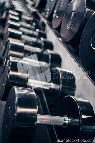 Image of Fitness, workout and dumbbells in an empty gym for exercise, body building development or strength training for wellness. Commitment, motivation or heavy metal weights for strong arms or body muscles