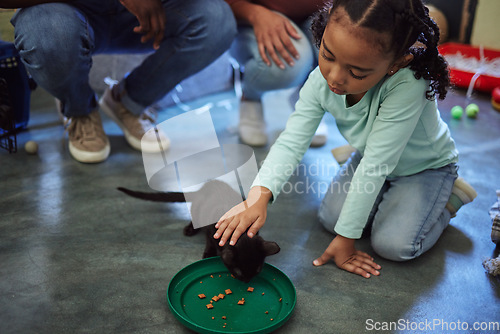 Image of Child, girl or feeding kitten in pet shelter, adoption rescue or feline volunteer community clinic with health, wellness or development food. Kid, youth or animal care for cats in foster charity home