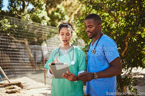 Image of Doctors, tablet or diversity healthcare vet consulting for teamwork, medical or planning innovation research strategy in zoo. Medicine, insurance or nurse working on tech, data analysis or review