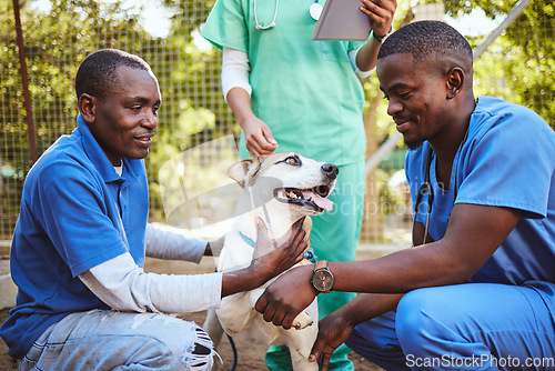 Image of Veterinary, group and doctor with dog while working in healthcare, wellness and animal health. Vet, volunteer and pet with black man, nurse or people for medical, care or adoption of animal outdoor