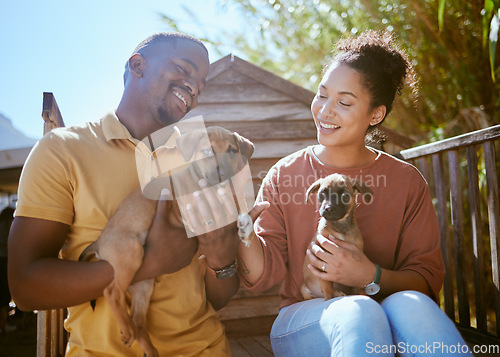 Image of Dog, animal shelter and rescue with a black couple holding a puppy for adoption at a welfare kennel. Help, canine and volunteer with a man and woman adopting dogs from a charity organization