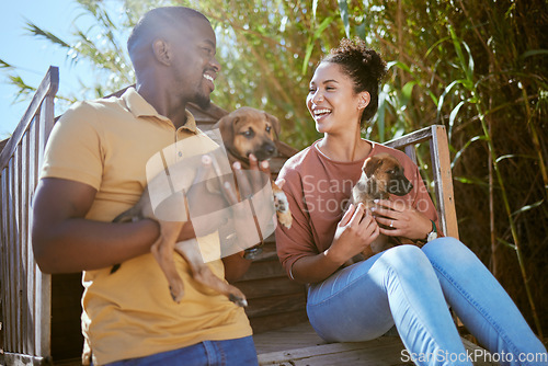 Image of Couple, love and bonding with puppy dogs in animal shelter, adoption center of volunteer community charity for canines. Smile, happy or black woman and man with animal pets for foster care in garden