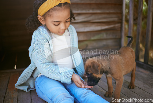 Image of Child, puppy dog and smell hand for trust, friendship and love of new, domestic animal adoption and child development. Pet shelter, friendly german shepherd and girl learning pet care while bonding