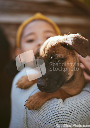 Image of Dog, playing and child at a shelter for adoption, love and care with a pet in nature. German shepherd, happy and girl holding a young puppy at a park to play, fun and relax with bokeh background