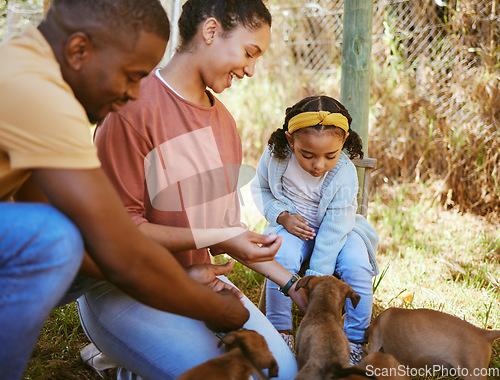 Image of Black family, mother and father with child, puppies and playful together outdoor. African American parents, girl and with pets for adoption, happy and bonding on farm, for happiness and at shelter.