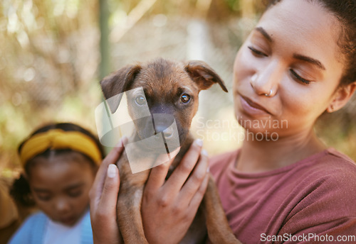 Image of Dog, woman and hands holding puppy in love for adoption, life or bonding by animal shelter. Happy female carrying small little pup in hand for support, trust and loving affection for pet care or home
