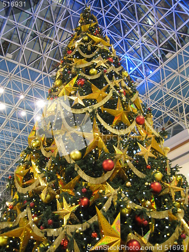 Image of Christmas Tree