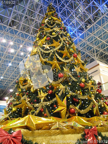 Image of Christmas Tree