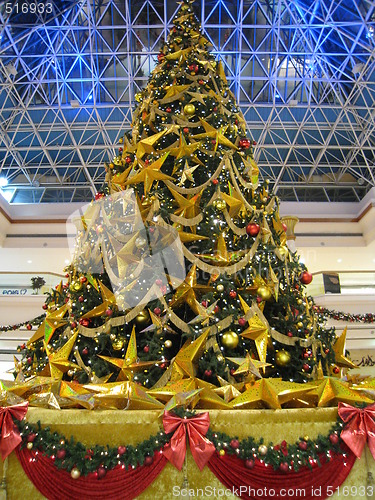 Image of Christmas Tree