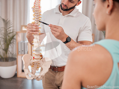 Image of Chiropractor, spine and anatomy with a medical skeleton for advice and diagnosis of injury during physiotherapy with therapist and patient. Man talking to woman for chiropractic and physical therapy