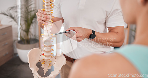 Image of Spine model, healthcare and chiropractor with woman for consultation or treatment advice. Physiotherapy, wellness and doctor with patient and skeleton explaining cause of back pain, injury or problem