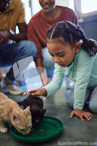 Image of Child, cats and care while eating food for nutrition for health and wellness, family at animal shelter for charity and volunteer work for rescue animals. Girl showing love and support petting cat