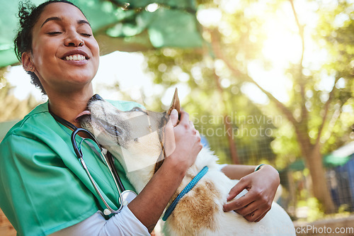 Image of Vet, happy and nurse with a dog in nature doing medical healthcare checkup and charity work for homeless animals. Smile, doctor or veterinarian loves nursing, working or helping dogs, puppy and pets