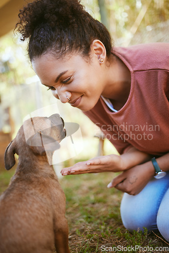 Image of Happy black woman, pet puppy and play in garden, backyard or park for training, learning and behaviour. Woman, young dog and sitting on grass together for game, fun and happiness outdoor in nature