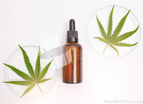 Image of Medicine, natural and oil with leaf of cannabis on white background for health, wellness and treatment. Medicinal marijuana, organic healthcare and cbd oil serum or extract for traditional healing