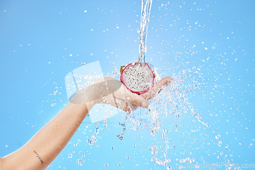 Image of Woman, hands and water splash for clean dragon fruit on blue background in studio for healthcare wellness, skincare diet or nutrition. Zoom, water drop and liquid motion on tropical pitaya for model