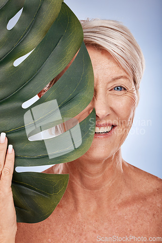 Image of Monstera leaf, portrait of senior woman with natural skincare and marketing luxury retirement spa in Sydney. Elderly lady with green plant, half face on studio background and healthy dermatology