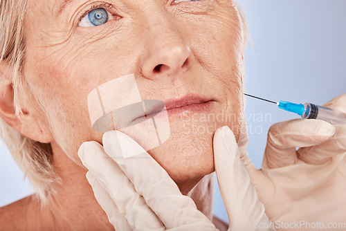 Image of Botox, injection and antiaging with a senior woman in studio on a gray background with hands in gloves for treatment. Wrinkles, wellness and cosmetics with a mature female patient and plastic surgeon